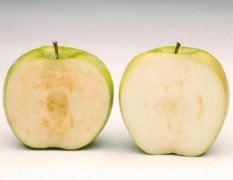 转基因苹果即将在美国上市，切开三周不变色