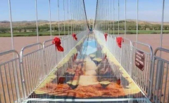 玩的就是心跳！中国首座 3D 玻璃桥来了